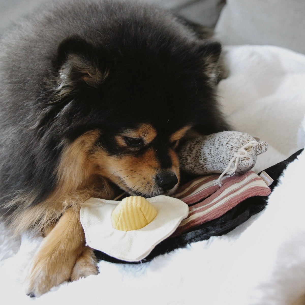 Lambwolf zabawka węchowa dla psa Angielskie Śniadanie - obrazek 5