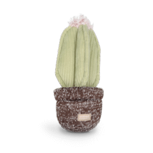 Lambwolf zabawka węchowa dla psa Kaktus