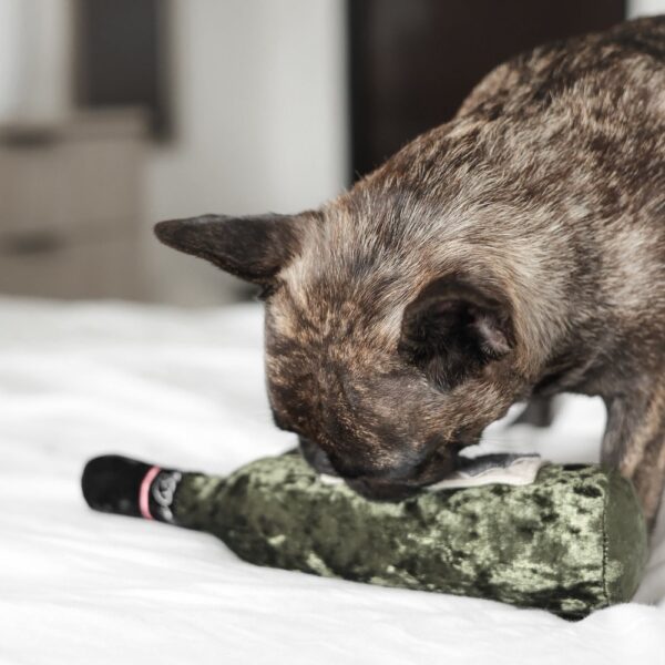 Lambwolf zabawka węchowa dla psa Merlot - obrazek 5