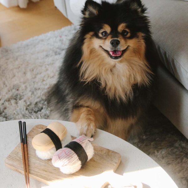 Lambwolf zabawka węchowa dla psa Sushi - obrazek 4
