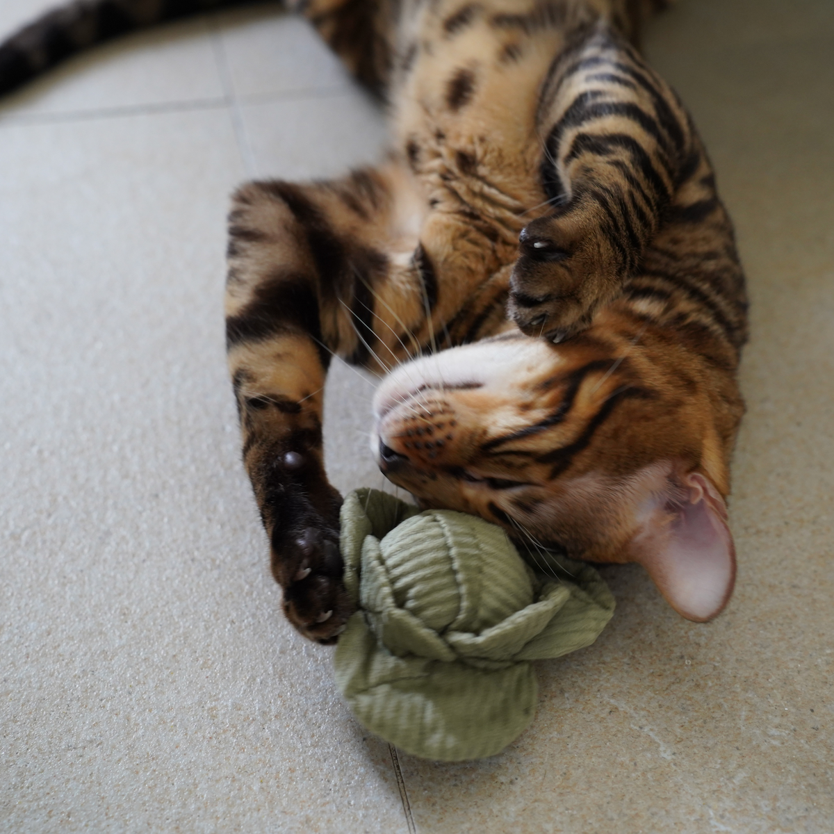 Lambwolf zabawka węchowa dla kota Koci Zestaw Wegetariański - obrazek 5