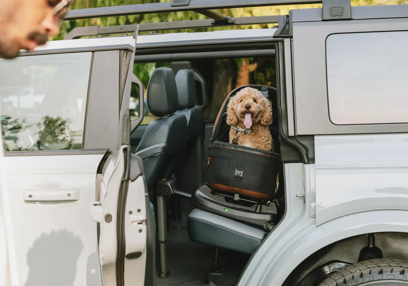 Bezpieczeństwo Twojego pupila na drodze – Transportery samochodowe Tavo Pets i norma R129